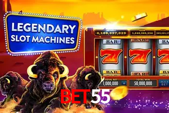 Security Systems bet55